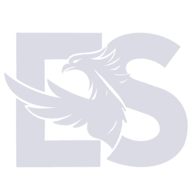 Phoenix Eternal Soul